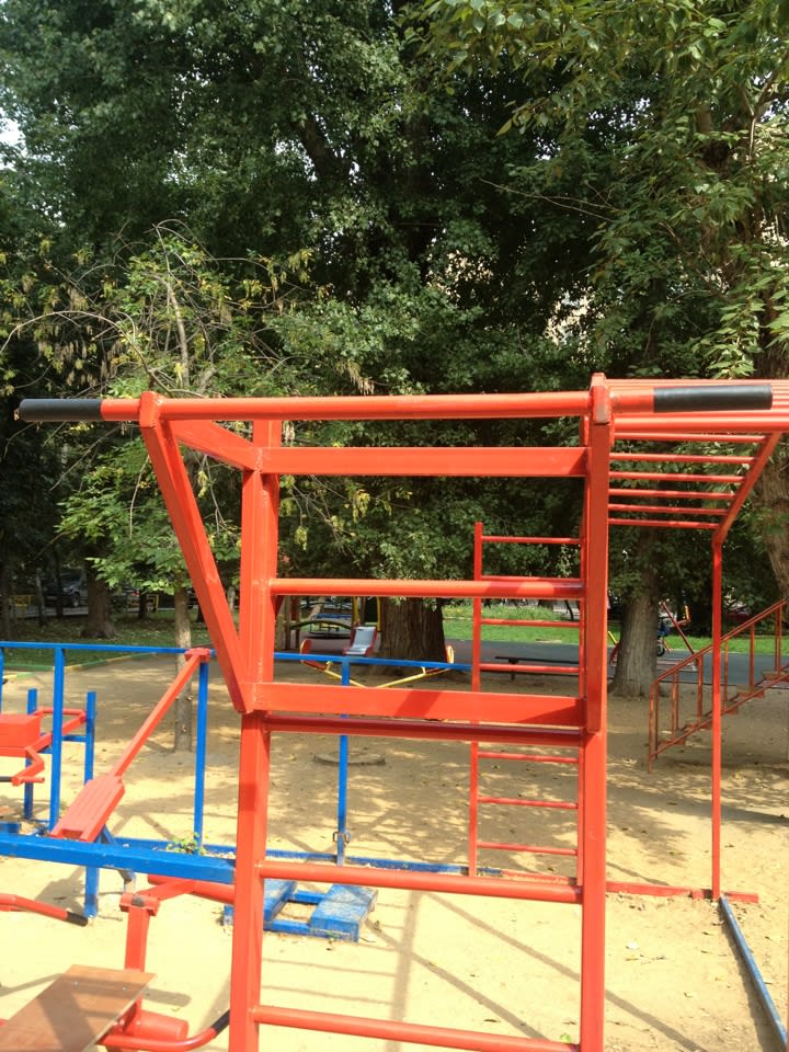 Monkey Bars at Calisthenics Park at Скаковая улица, Москва – photo 3 of 10