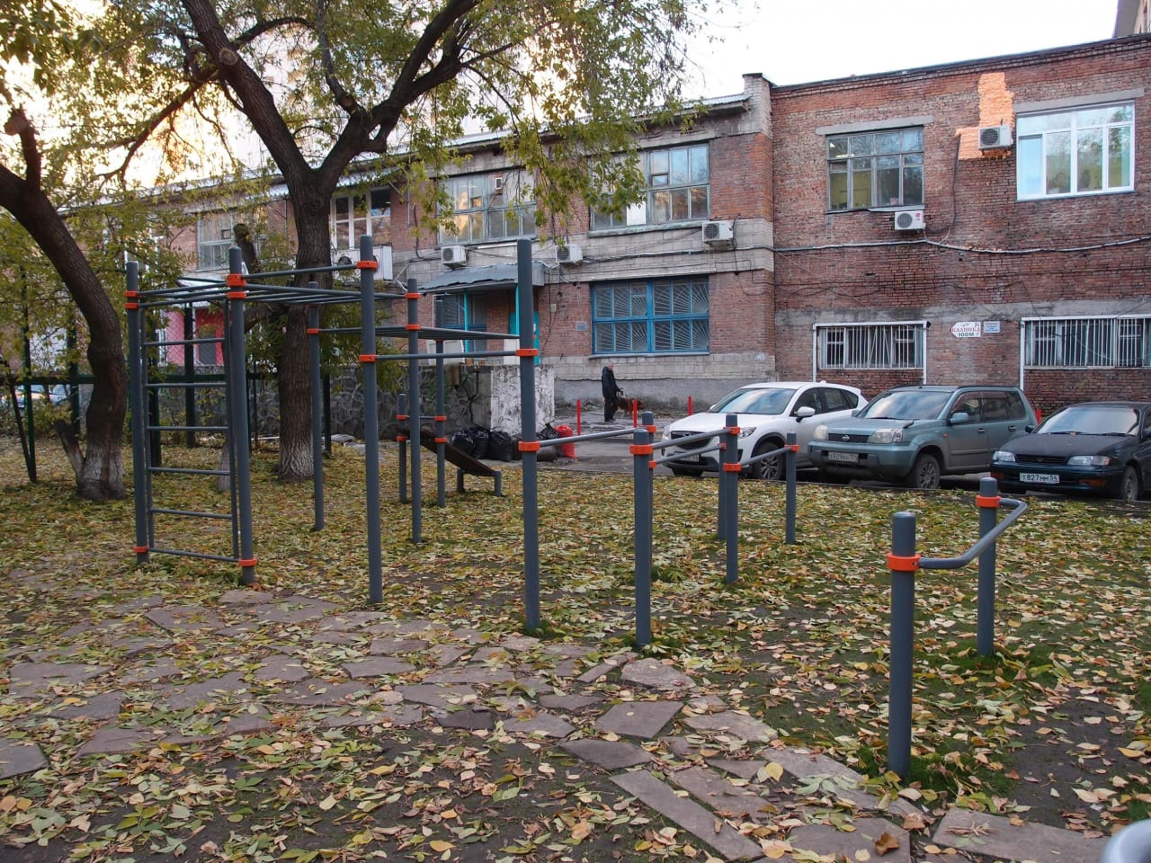 Barren bei Calisthenics Park at Советская улица, Новосибирск #wp2190 – Foto 2 von 3