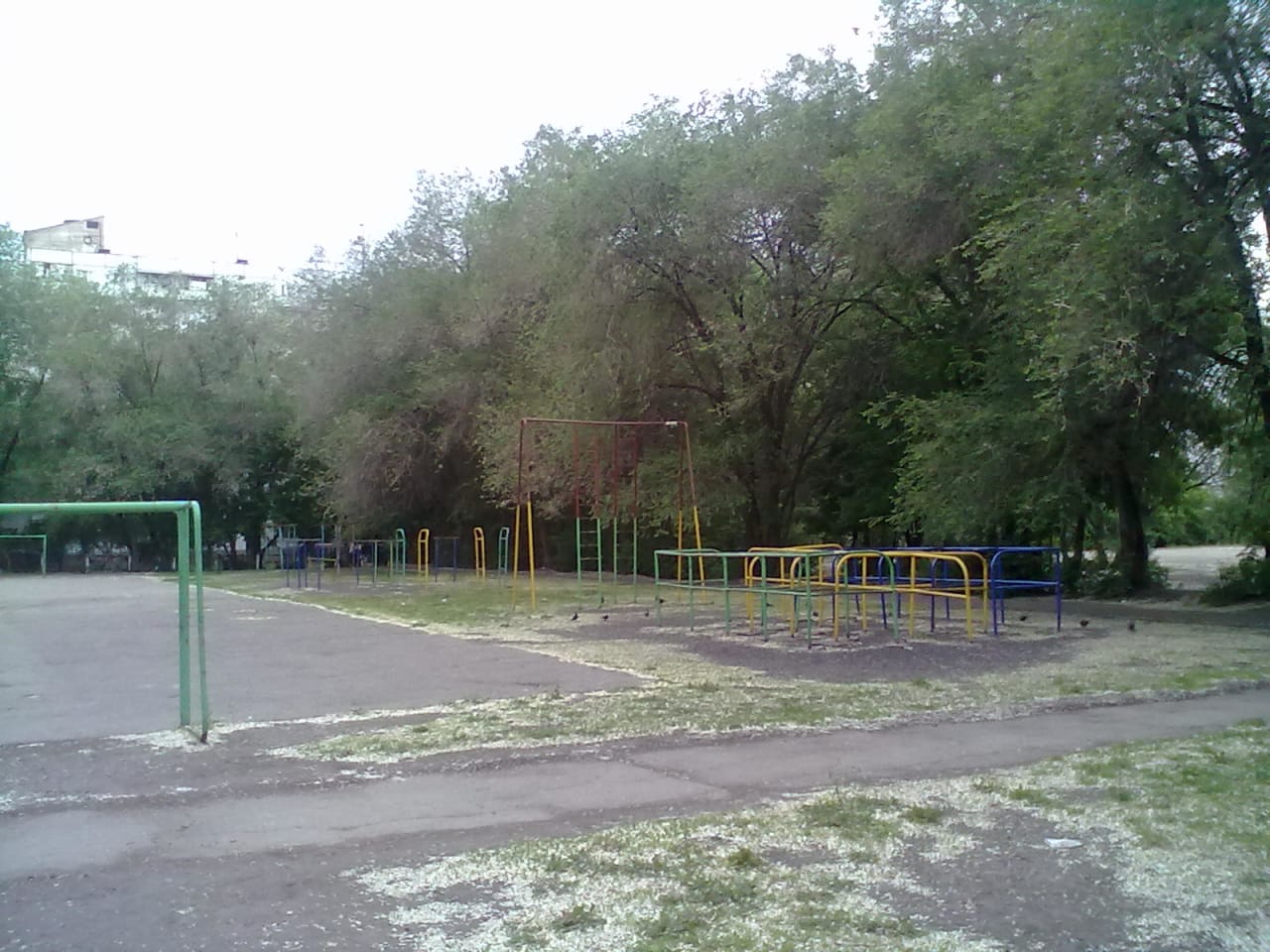 Klimmzugstange bei Calisthenics Park at Московское шоссе, Самара – Foto 1 von 4