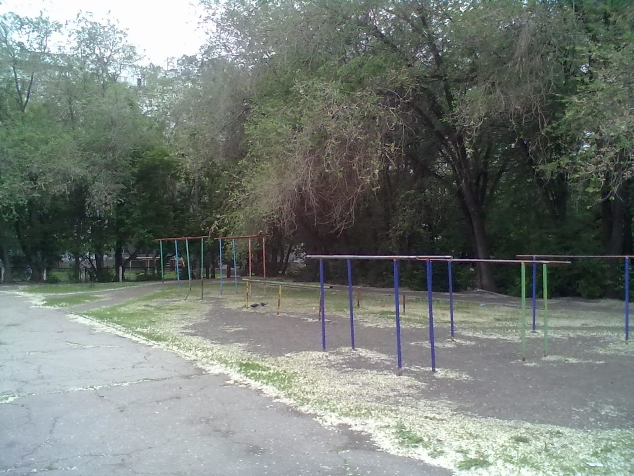 Sprossenwand bei Calisthenics Park at Московское шоссе, Самара – Foto 4 von 4