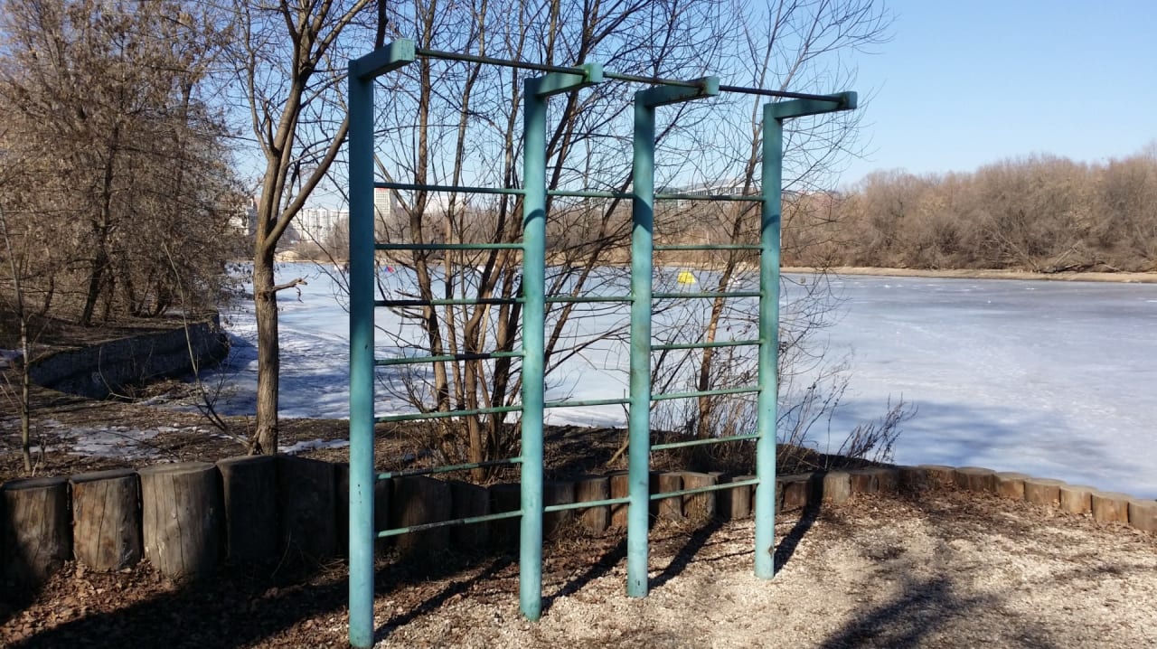 Monkey Bars at Calisthenics Park at улица Свободы, Москва #wp2185 – photo 3 of 8