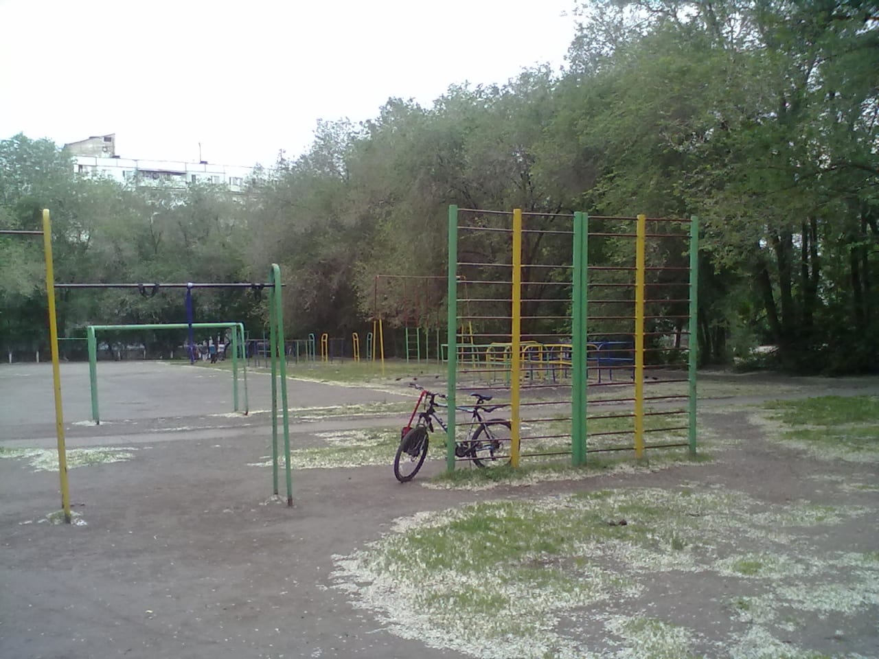 Barren bei Calisthenics Park at Московское шоссе, Самара – Foto 2 von 4