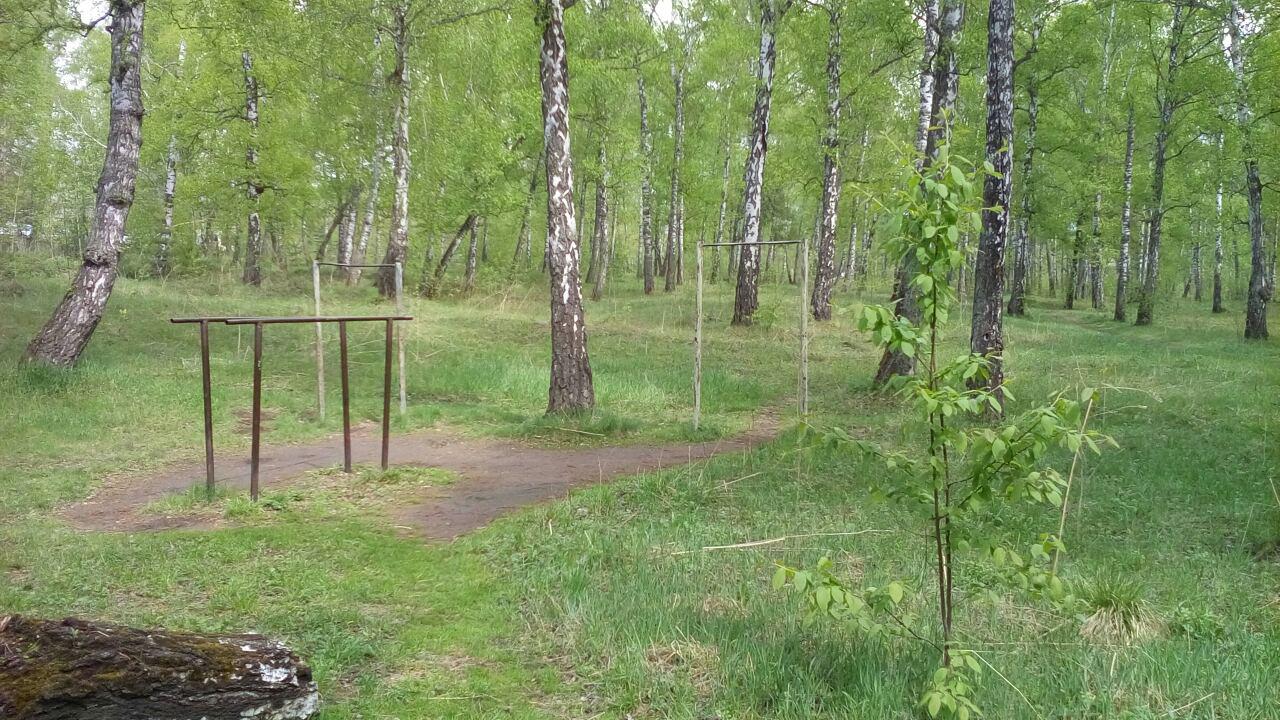 Klimmzugstange bei Calisthenics Park at Ленинградская улица, Красноярск – Foto 1 von 1