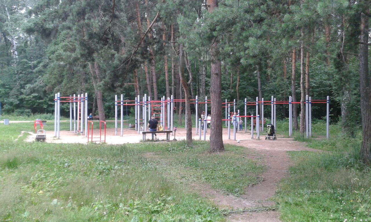 Pull Up Bar at Calisthenics Park at Первомайский проезд, Москва – photo 1 of 4