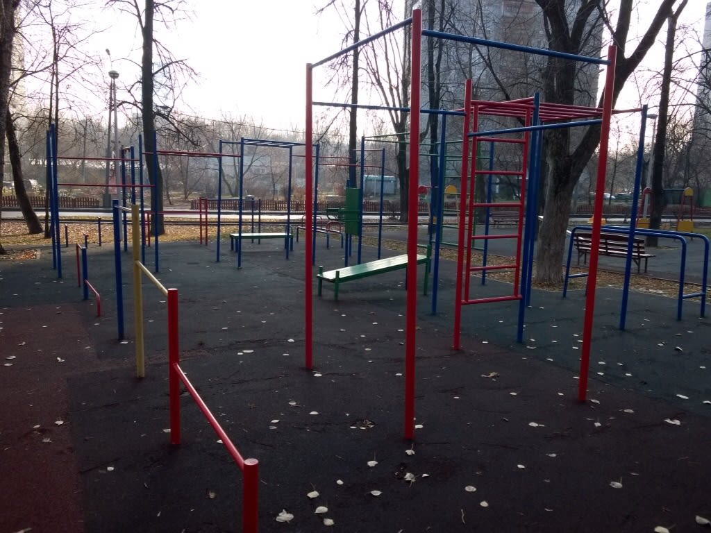 Parallel Gym Bars at Calisthenics Park at улица Девятая Рота, Москва – photo 2 of 6