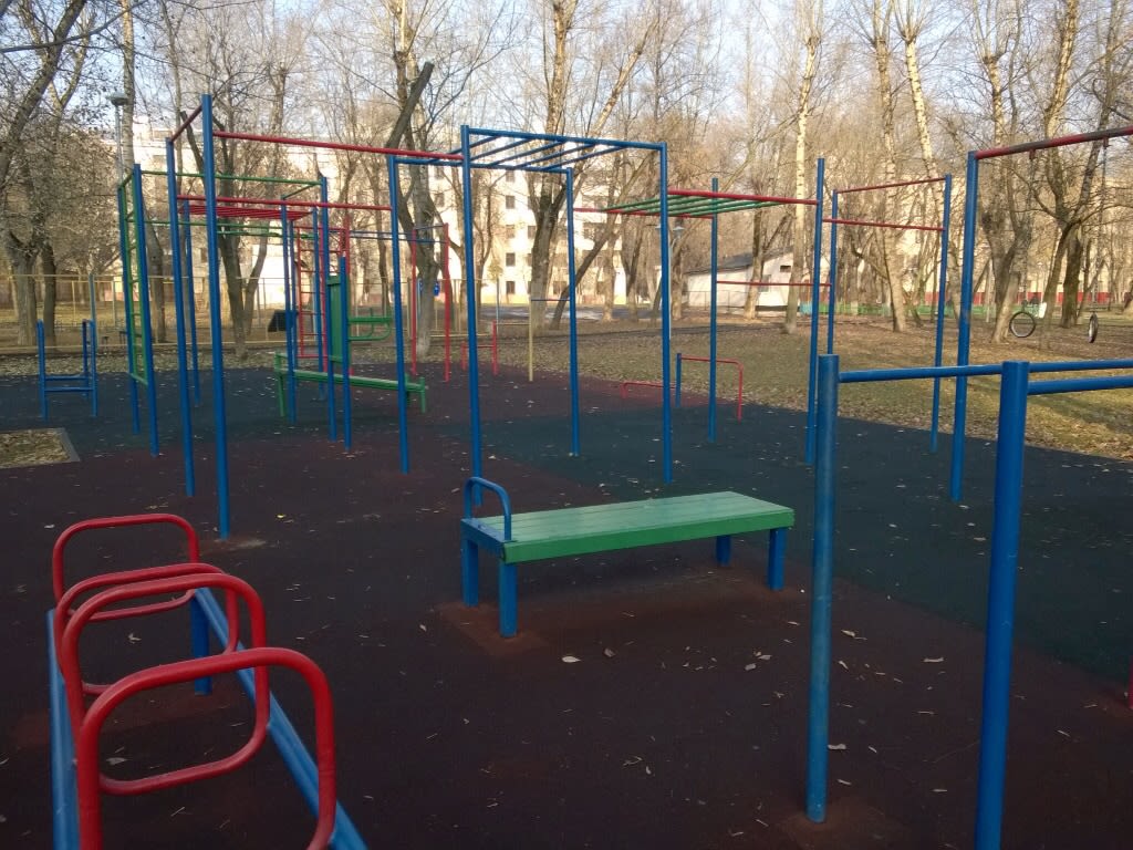 Push Up Bar at Calisthenics Park at улица Девятая Рота, Москва – photo 6 of 6
