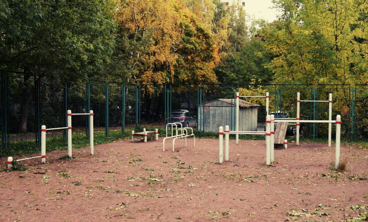 Monkey Bars at Calisthenics Park at улица Стойкости, Санкт-Петербург – photo 3 of 4
