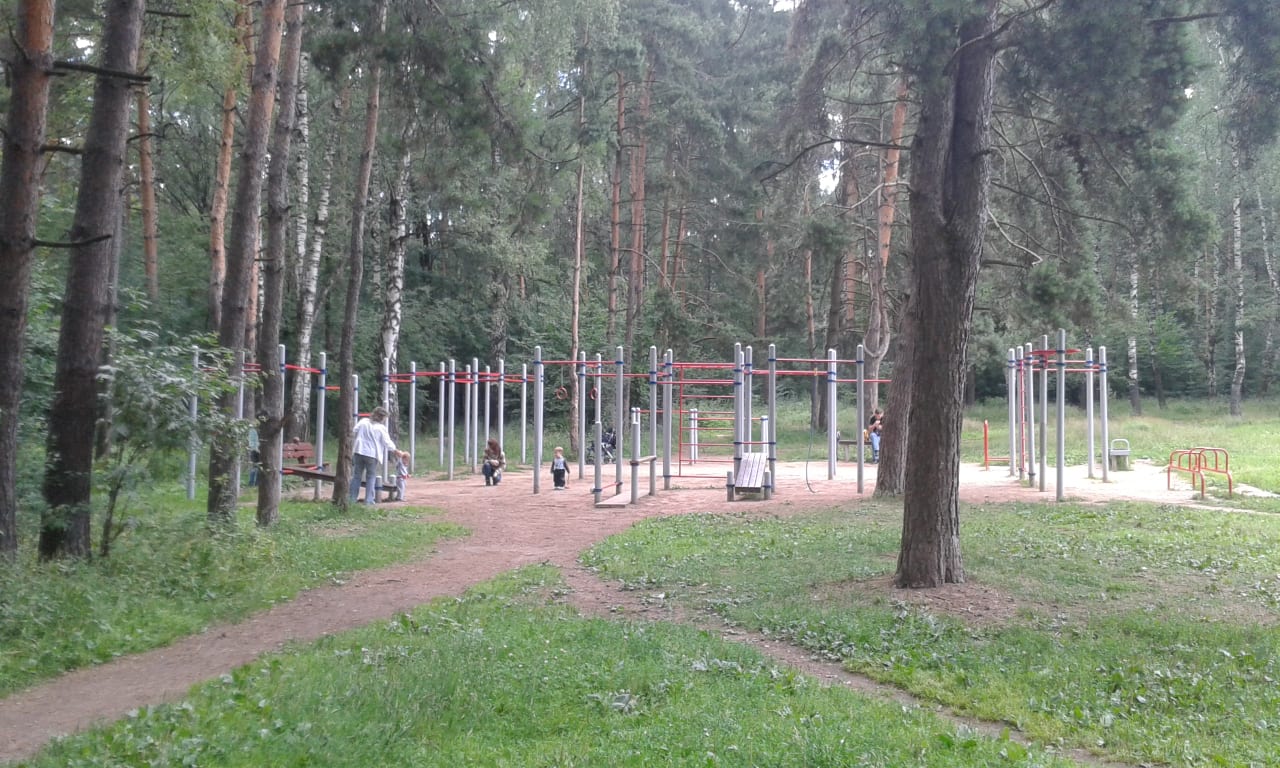 Wall Bars at Calisthenics Park at Первомайский проезд, Москва – photo 4 of 4