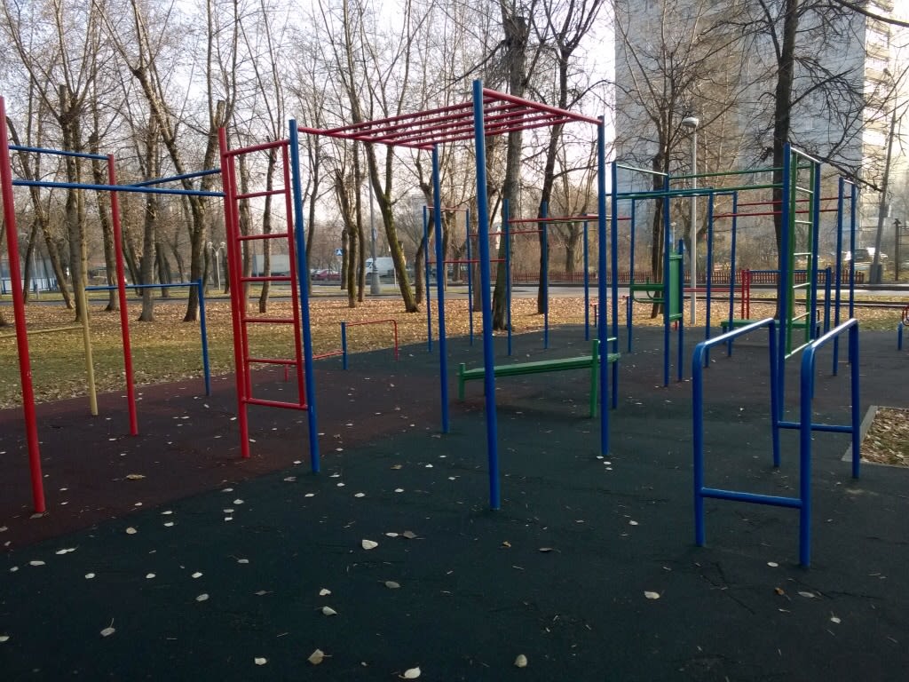 Wall Bars at Calisthenics Park at улица Девятая Рота, Москва – photo 4 of 6