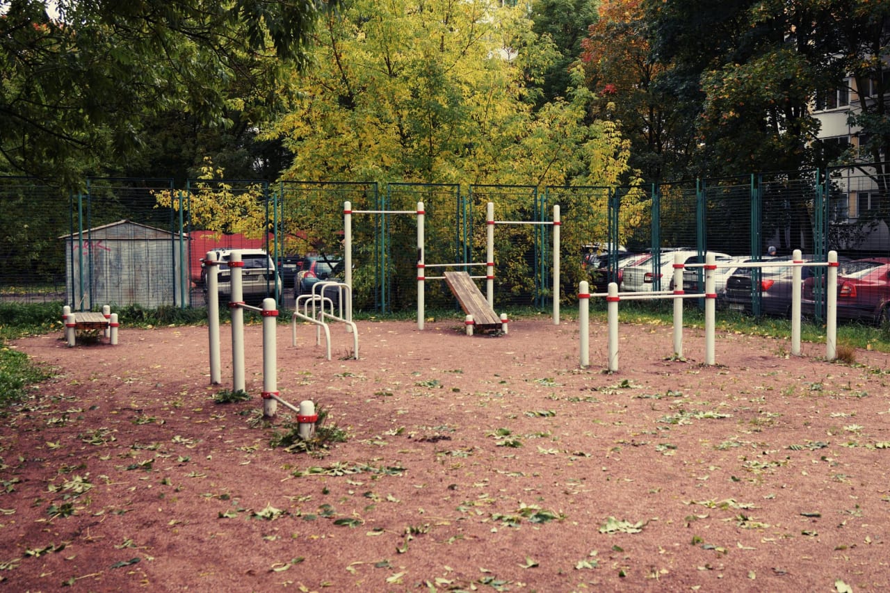Wall Bars at Calisthenics Park at улица Стойкости, Санкт-Петербург – photo 4 of 4