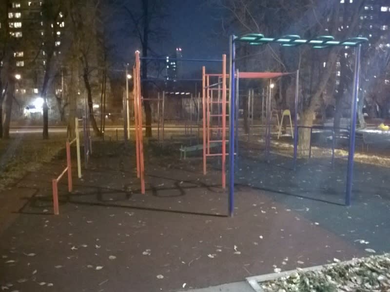 Pull Up Bar at Calisthenics Park at улица Девятая Рота, Москва – photo 1 of 6