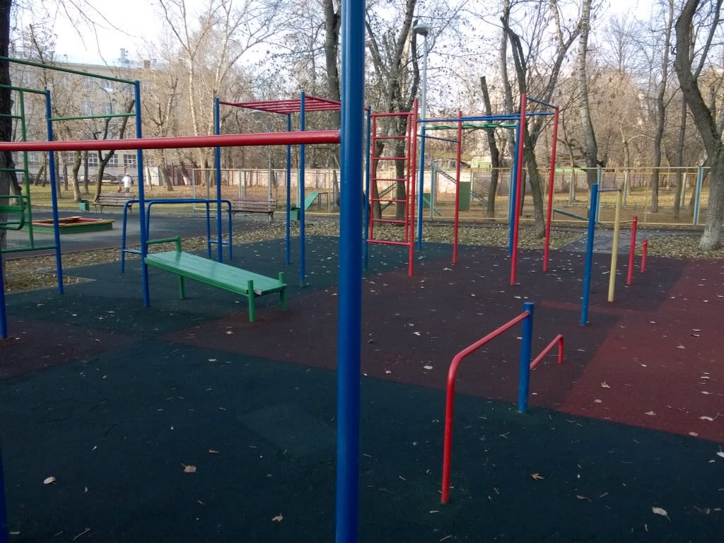 Monkey Bars at Calisthenics Park at улица Девятая Рота, Москва – photo 3 of 6