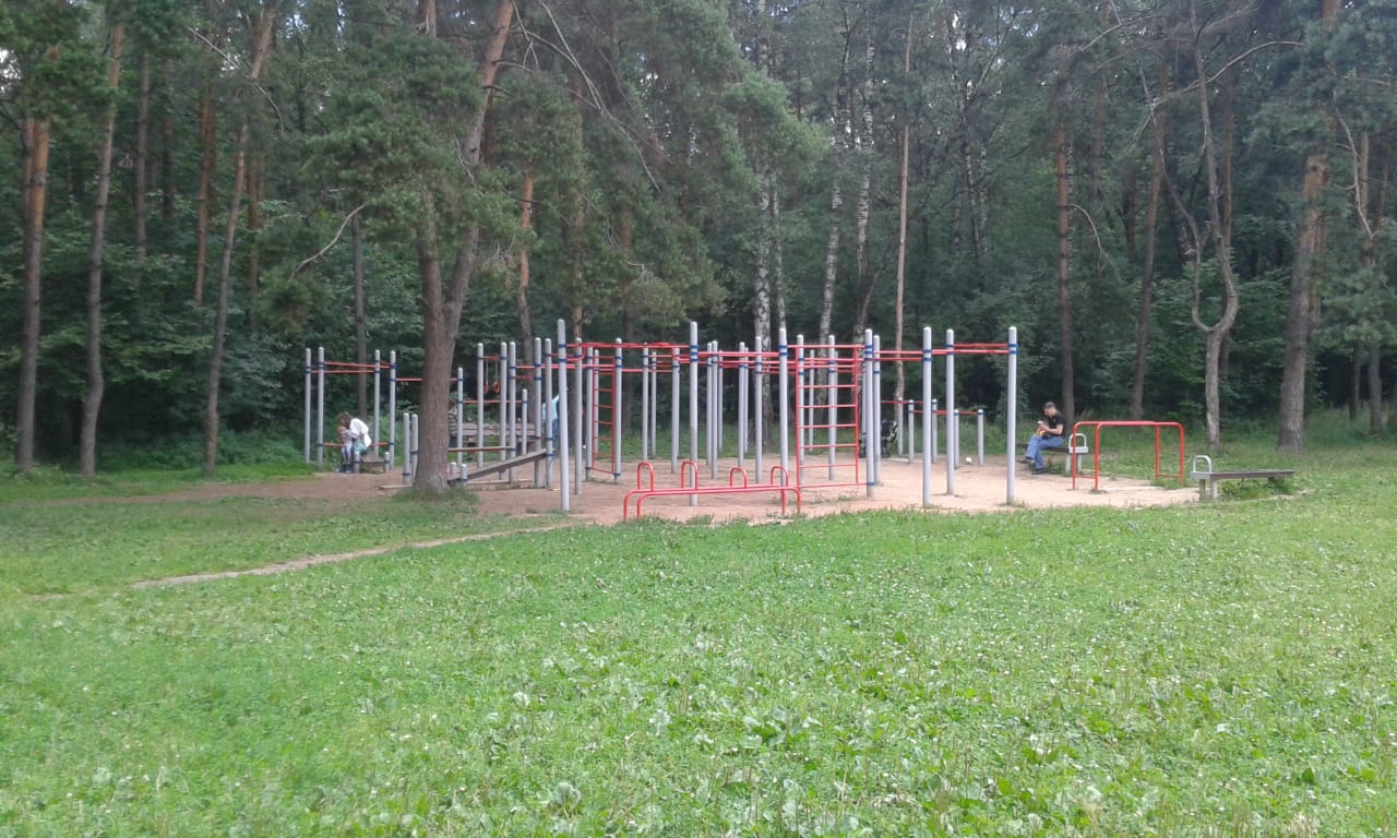 Monkey Bars at Calisthenics Park at Первомайский проезд, Москва – photo 3 of 4