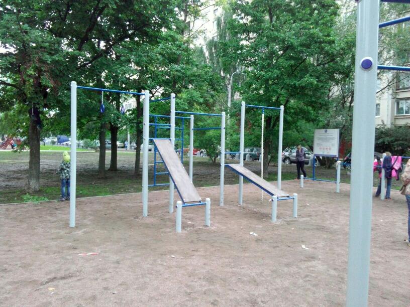 Monkey Bars at Calisthenics Park at проспект Просвещения, Санкт-Петербург – photo 3 of 3