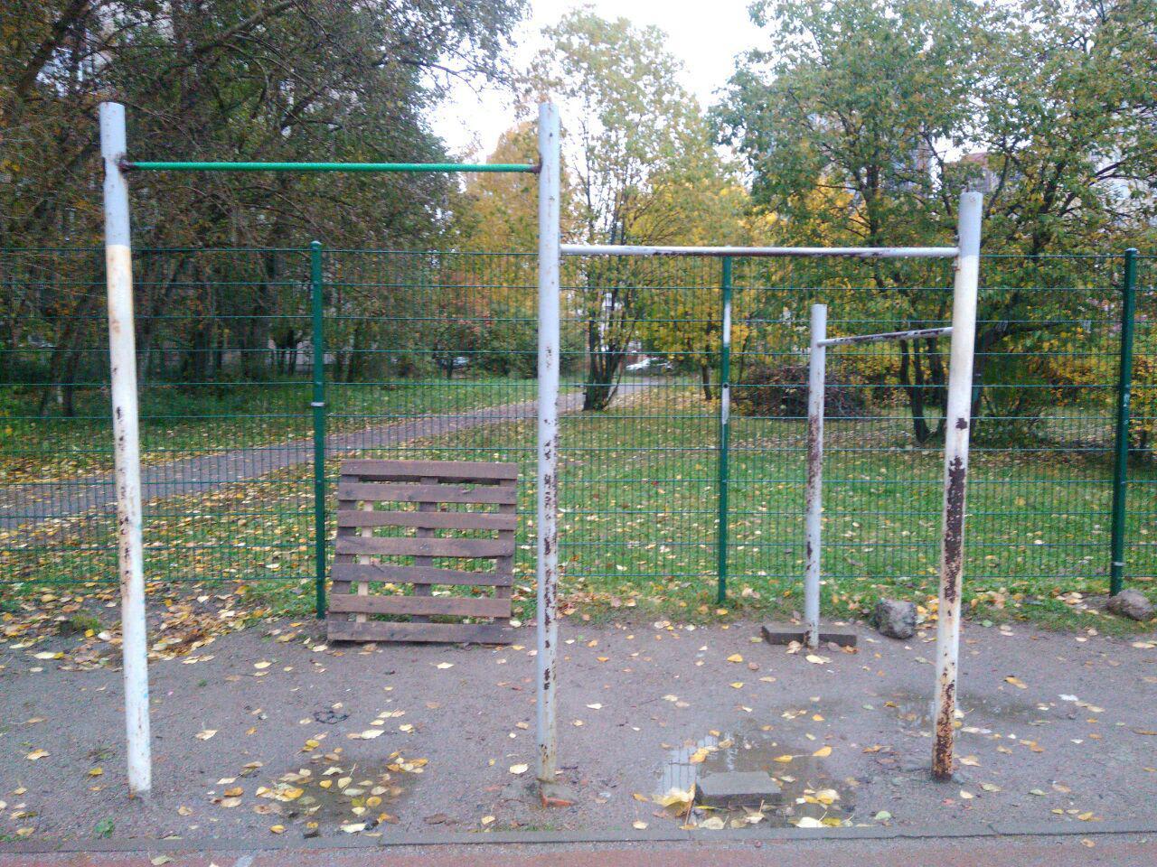 Турник на площадке Calisthenics Park at улица Ленсовета, Санкт-Петербург #wp2222 – фото 1 из 5