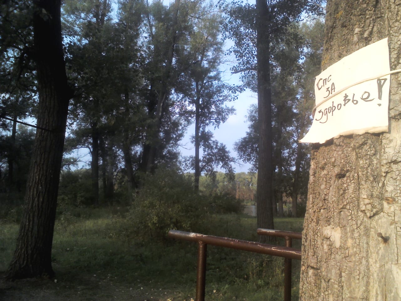 Parc de calistenică #wp2220 - photo 2