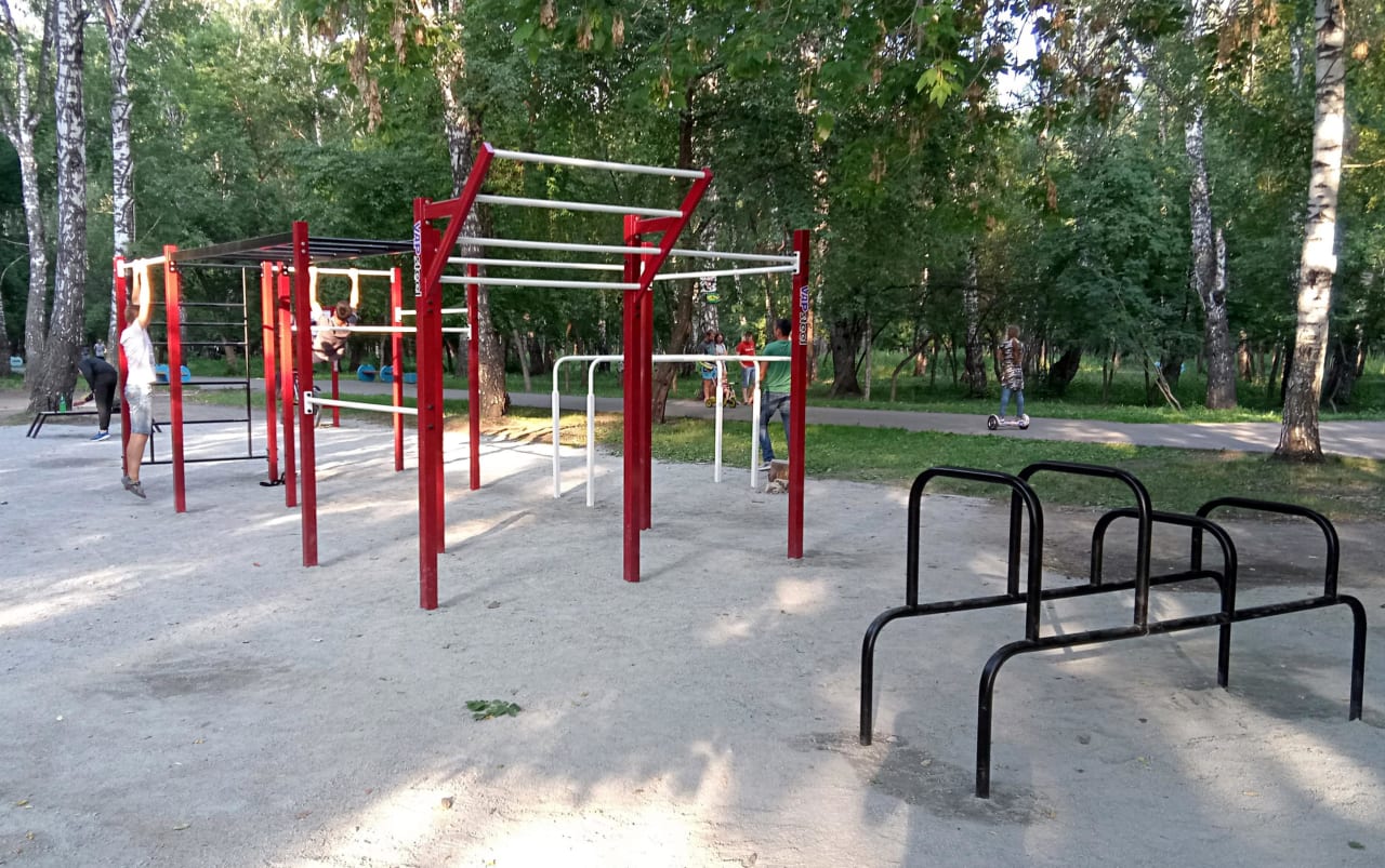 Monkey bar presso Calisthenics Park at Алейская улица, городской округ Новосибирск – foto 3 di 4