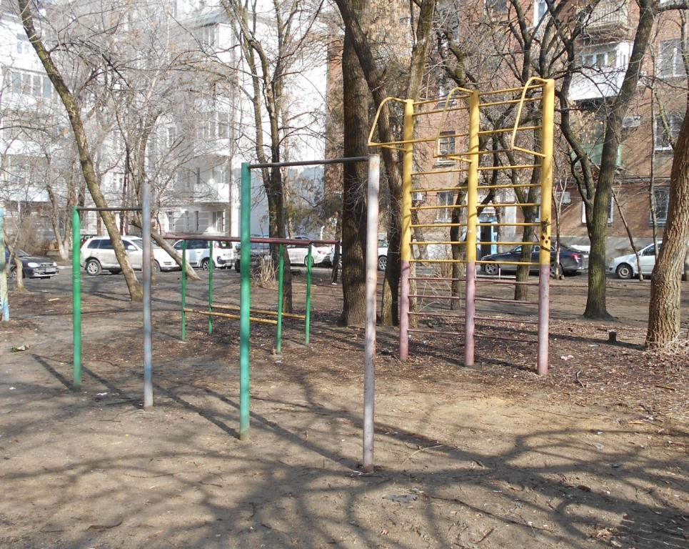 Pull Up Bar at Calisthenics Park at Будённовский проспект, Ростов-на-Дону – photo 1 of 2