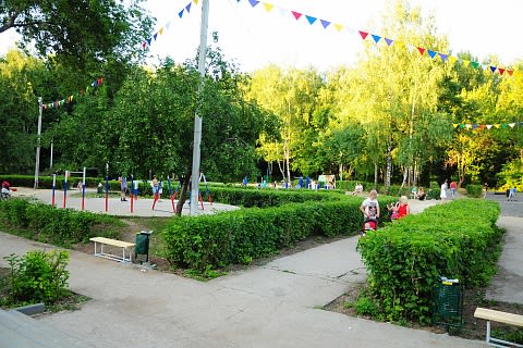 Parallel Gym Bars at Calisthenics Park at Экстрим Парк, Арзамас – photo 2 of 2