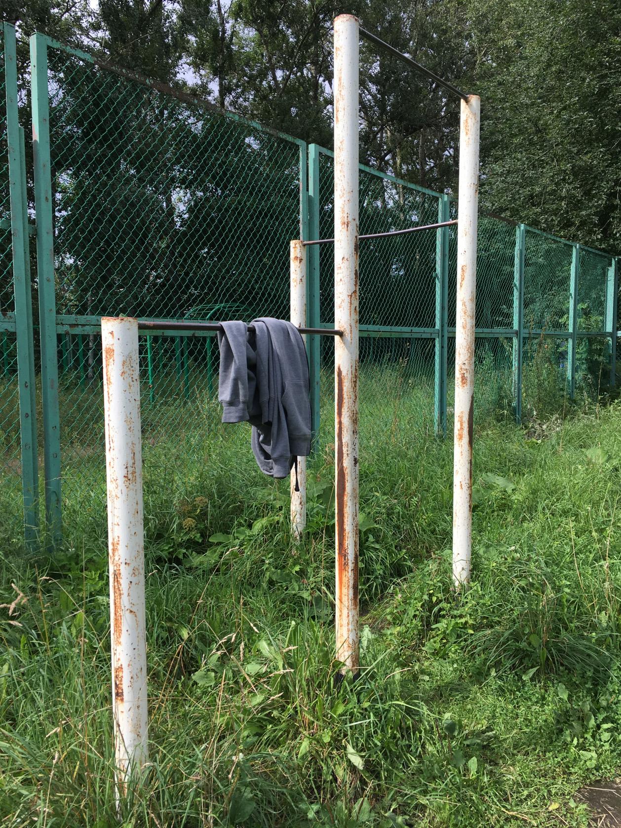 Wall Bars at Calisthenics Park at Ланское шоссе, Санкт-Петербург – photo 4 of 4