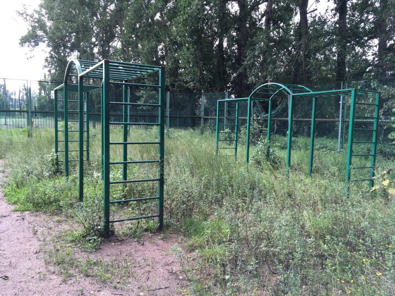 Monkey Bars at Calisthenics Park at Ланское шоссе, Санкт-Петербург – photo 3 of 4