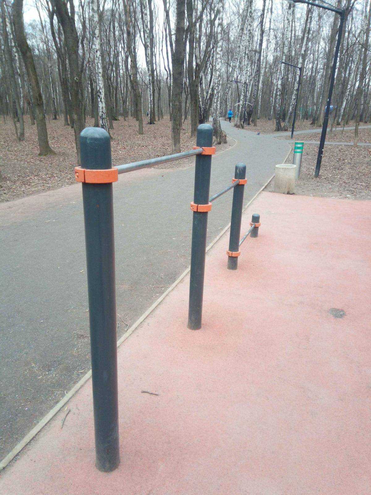 Push Up Bar at Calisthenics Park at Тропа здоровья, Москва – photo 2 of 3