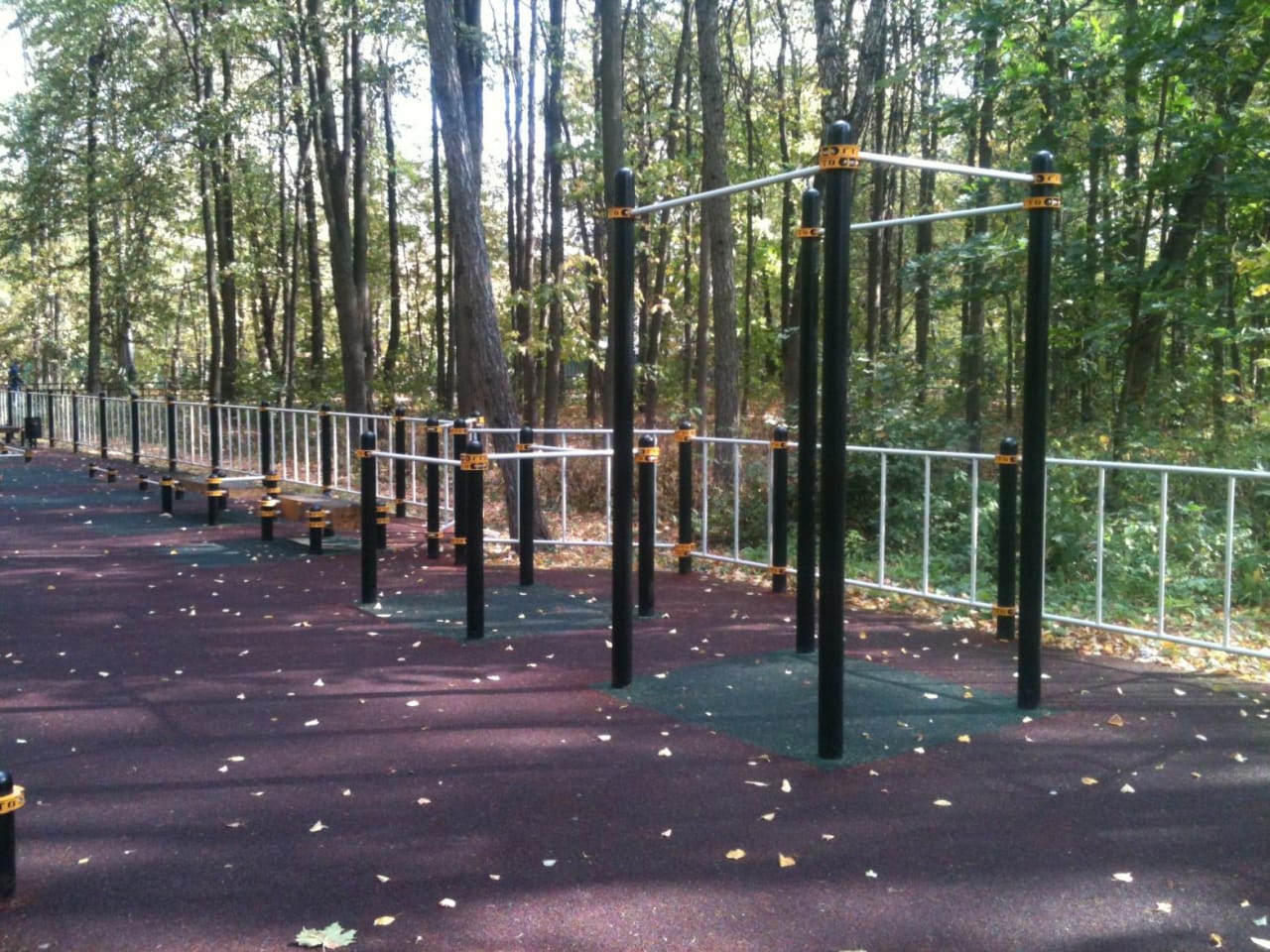 Monkey Bars at Calisthenics Park at Большая Филёвская улица, Москва #wp2282 – photo 5 of 6