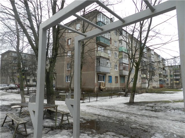 Barras Paralelas en Calisthenics Park at улица Ленина, Железногорск – foto 2 de 3