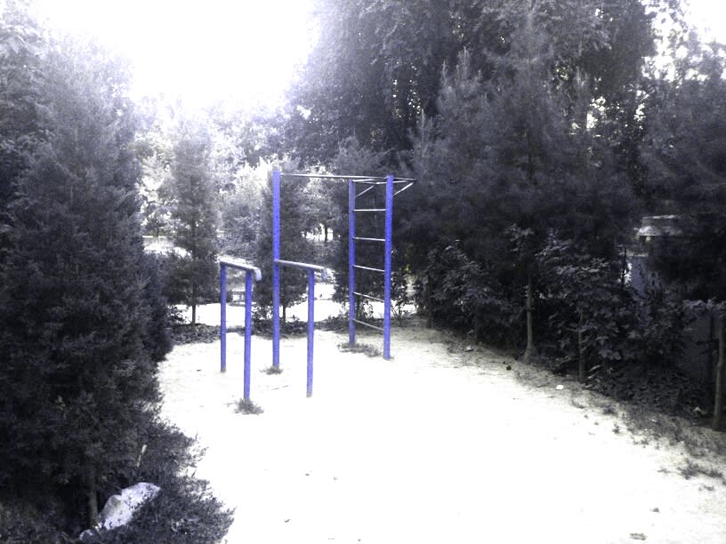 Parc de calistenică #wp2290 - photo 1
