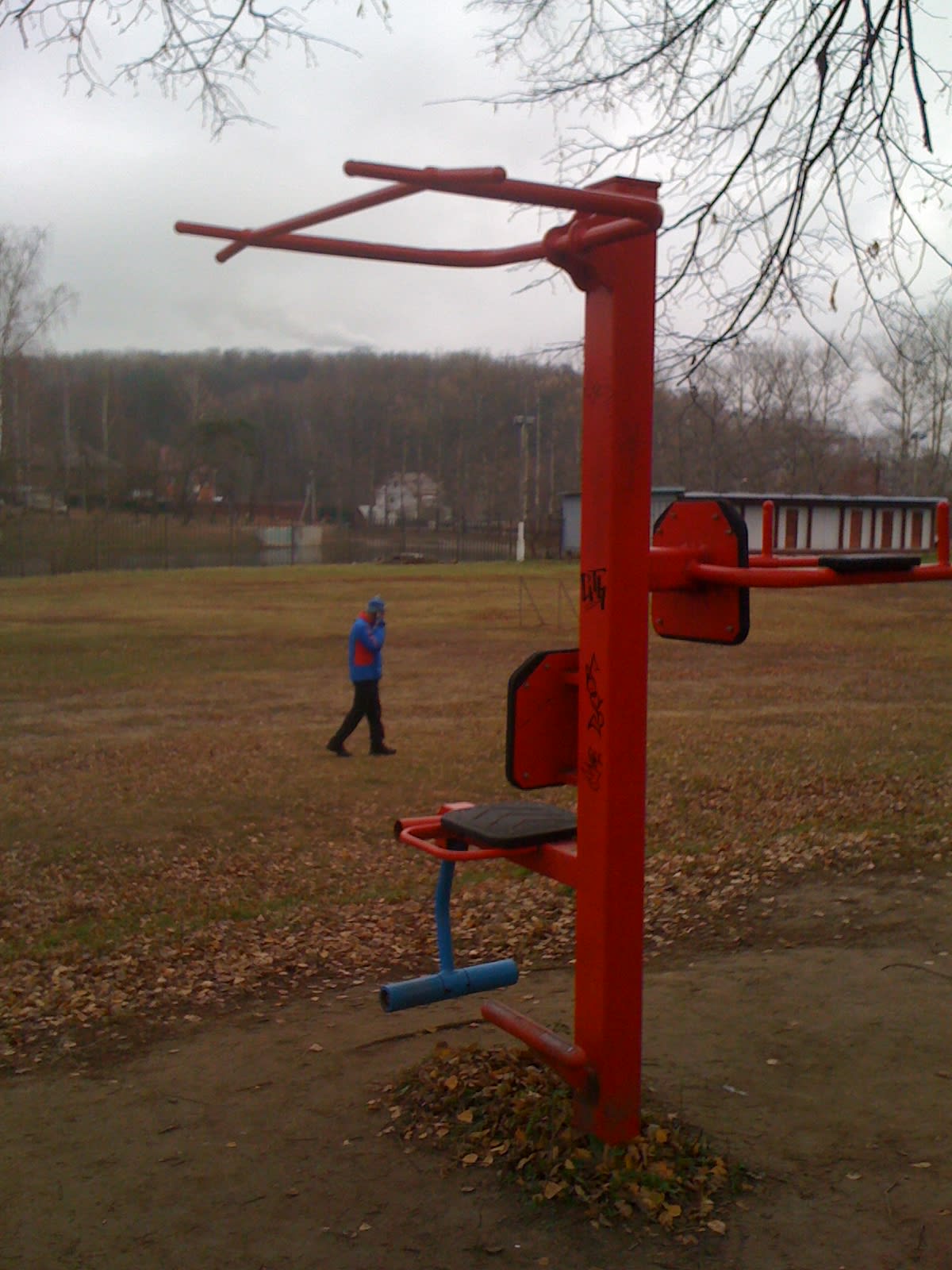 Sprossenwand bei Calisthenics Park at Лыжный стадион имени И. С. Утробина, Красногорск – Foto 6 von 12
