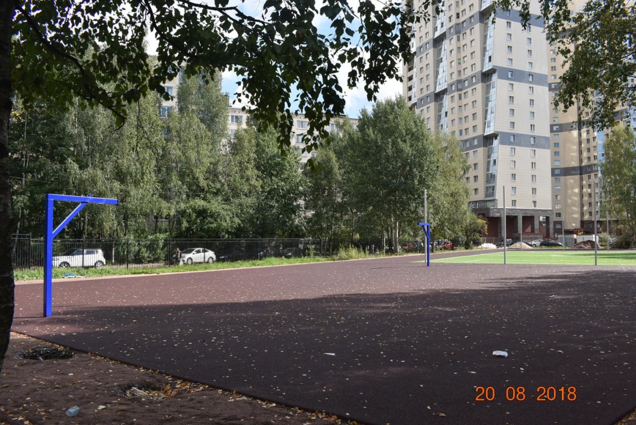 Ground Parallel Bars at Calisthenics Park at улица Коллонтай, Санкт-Петербург #wp2326 – photo 5 of 5