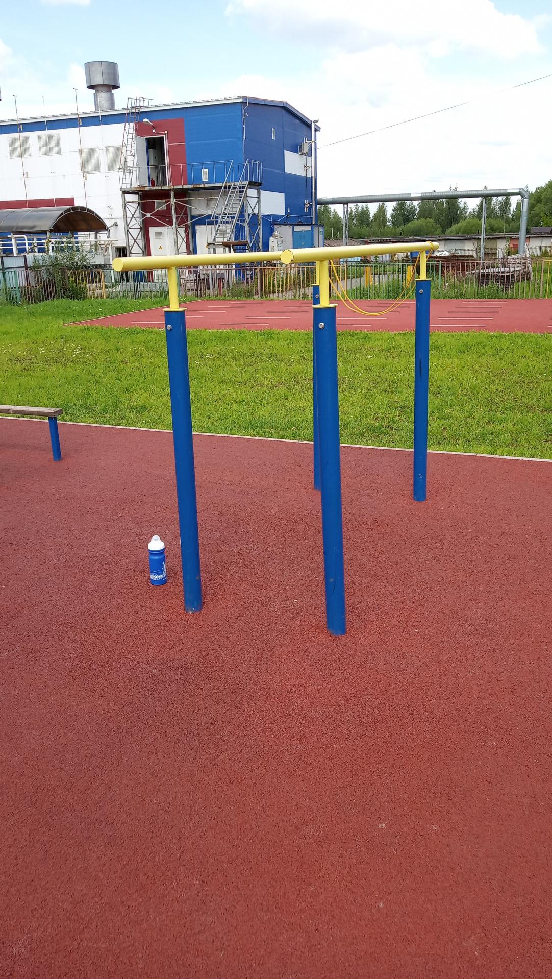 Sprossenwand bei Calisthenics Park at Спортивная улица, Егорьевск #wp2320 – Foto 5 von 9