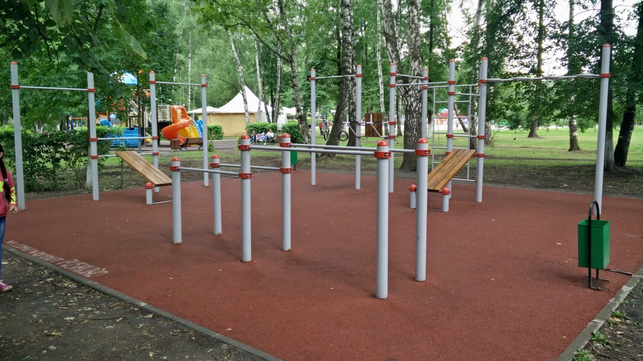 Barren bei Calisthenics Park at улица Гоголя, Пушкино – Foto 2 von 2