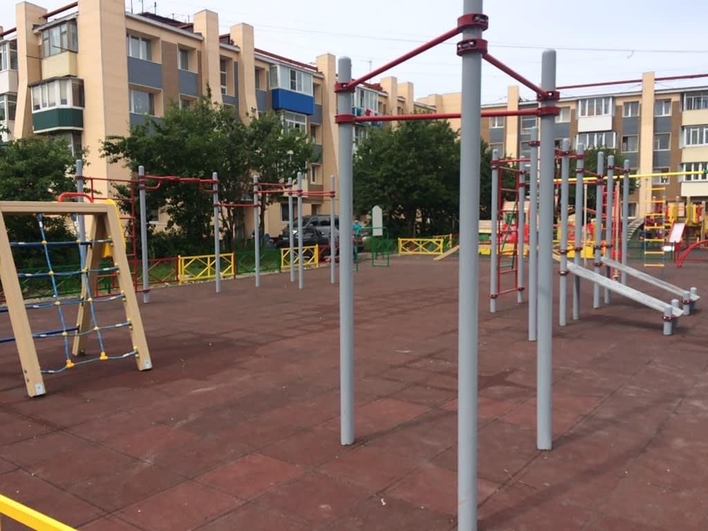 Monkey Bars at Calisthenics Park at улица Горького, Петропавловск-Камчатский – photo 3 of 4