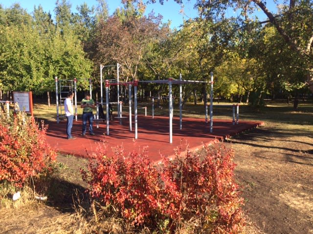 Monkey Bars at Calisthenics Park at улица им. Газеты «Правда», Магнитогорск – photo 3 of 3