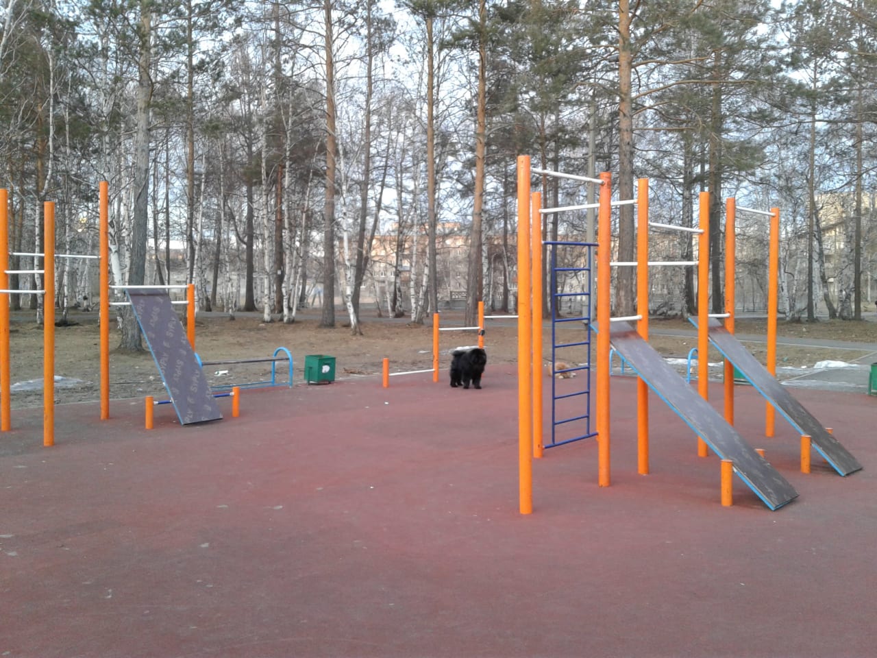 Parallel Gym Bars at Outdoor Gym in 15-й микрорайон, Ангарск – photo 2 of 3