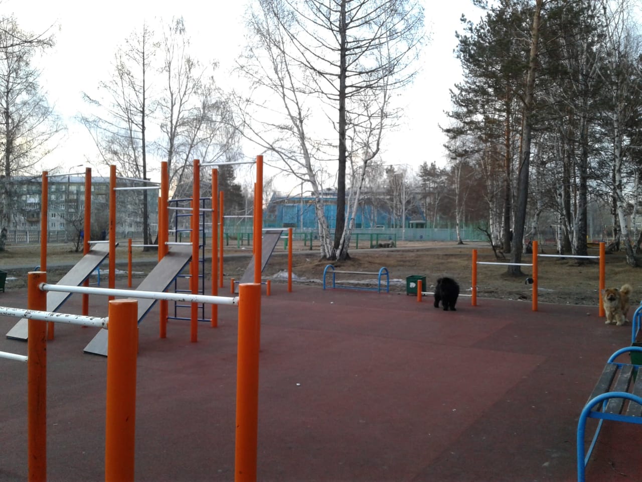 Pull Up Bar at Outdoor Gym in 15-й микрорайон, Ангарск – photo 1 of 3