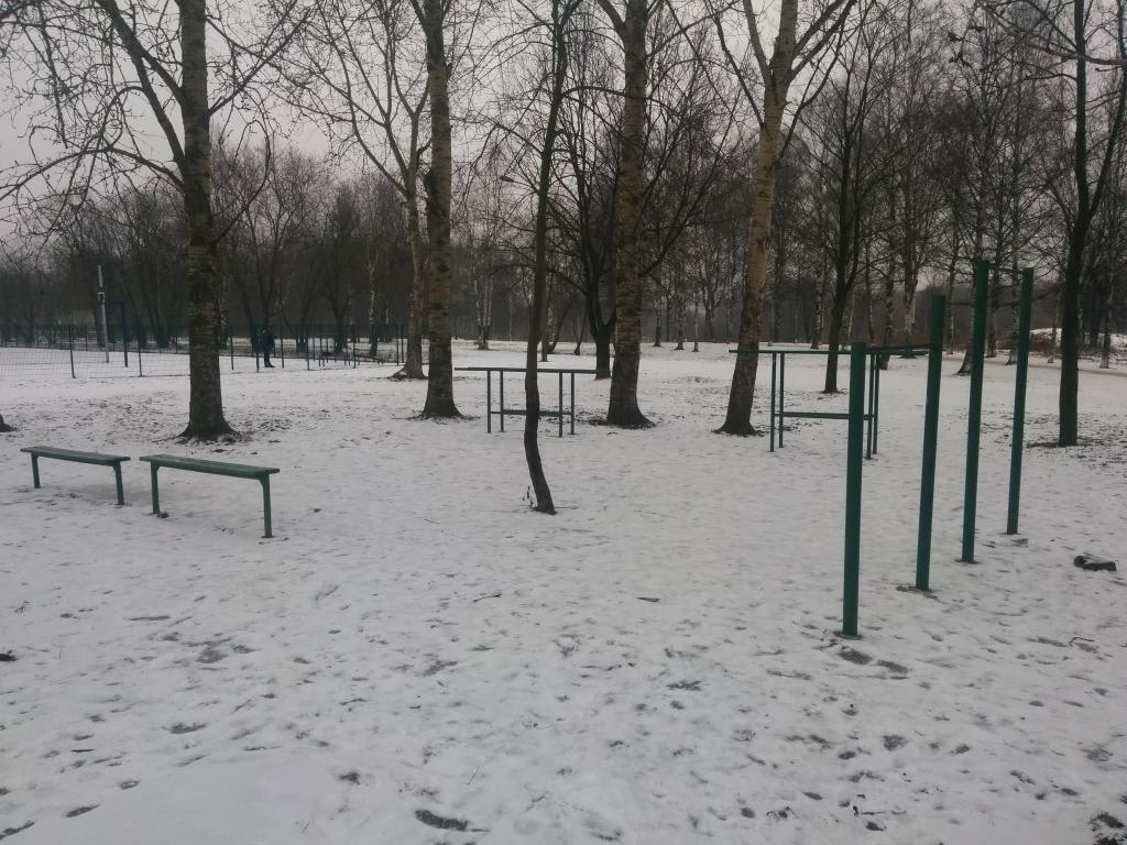 Бруси на майданчику Calisthenics Park at аллея Славы, Санкт-Петербург – фото 2 з 2