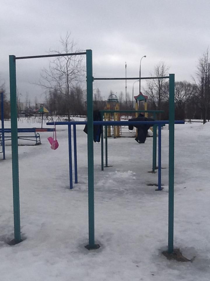 Wall Bars at Calisthenics Park at улица Кадырова, Москва – photo 3 of 3