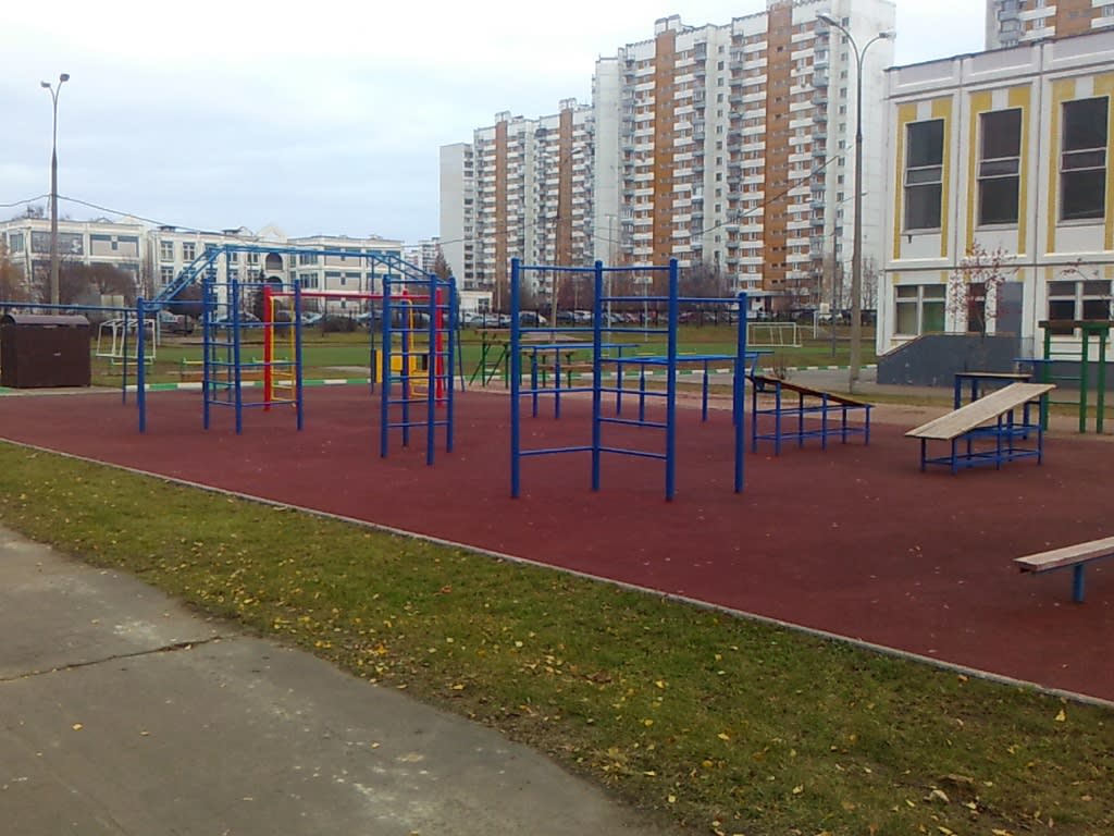 Parallel Gym Bars at Calisthenics Park at улица Шолохова, Москва – photo 2 of 2