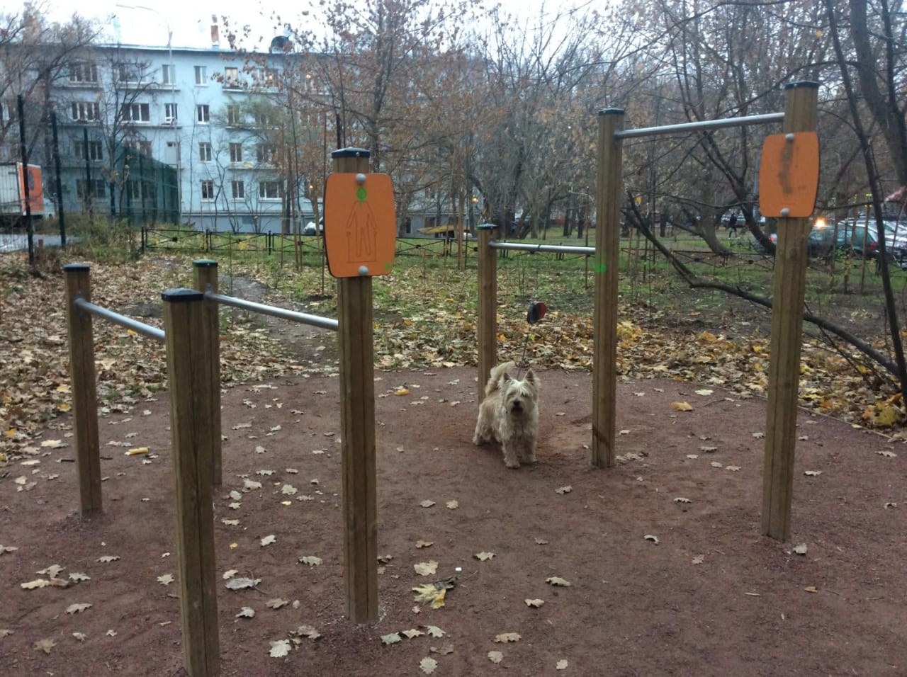 Pull Up Bar at Calisthenics Park at Аэродромная улица, Москва – photo 1 of 2