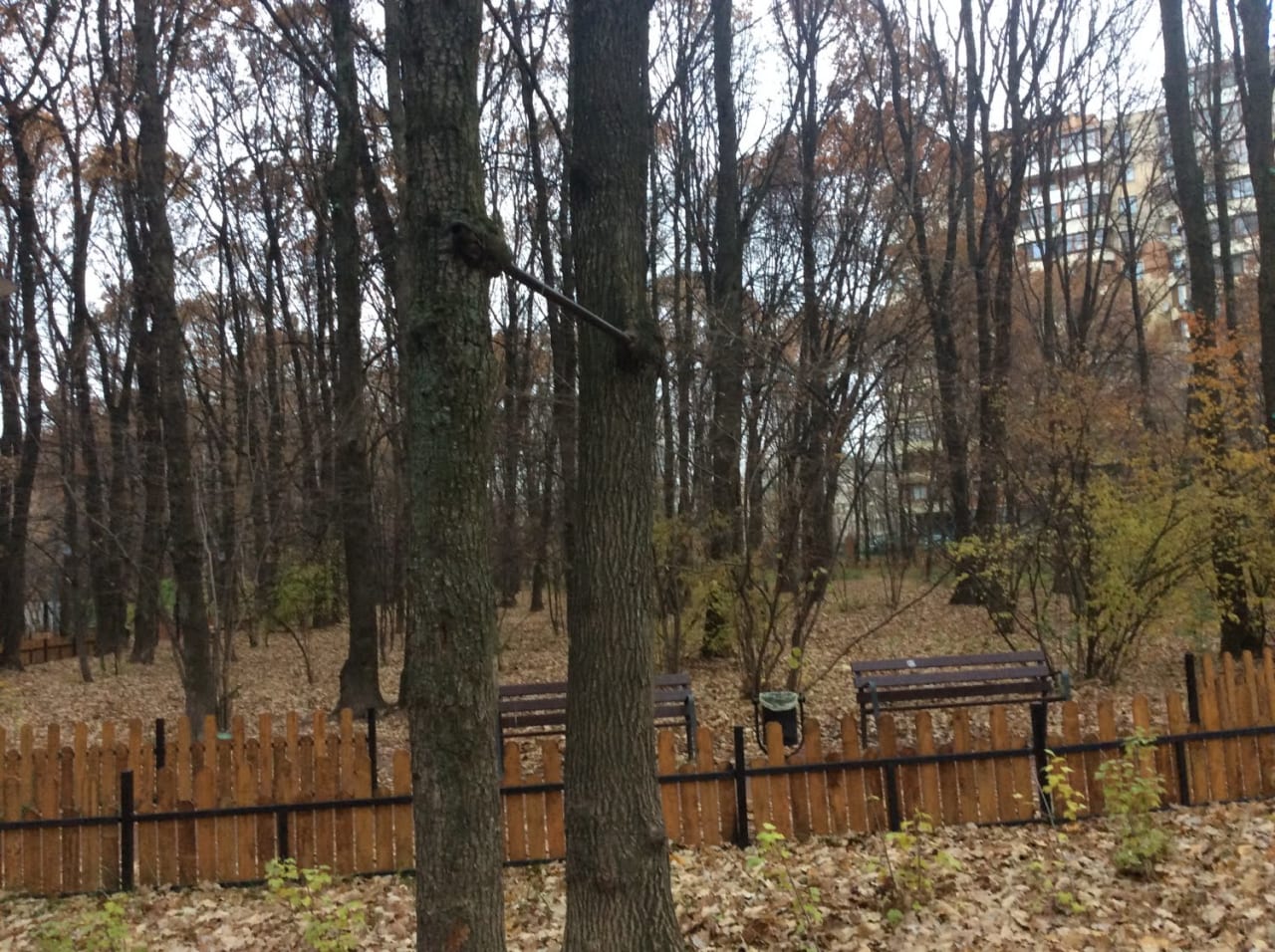 Parallel Gym Bars at Calisthenics Park at Аэродромная улица, Москва – photo 2 of 2