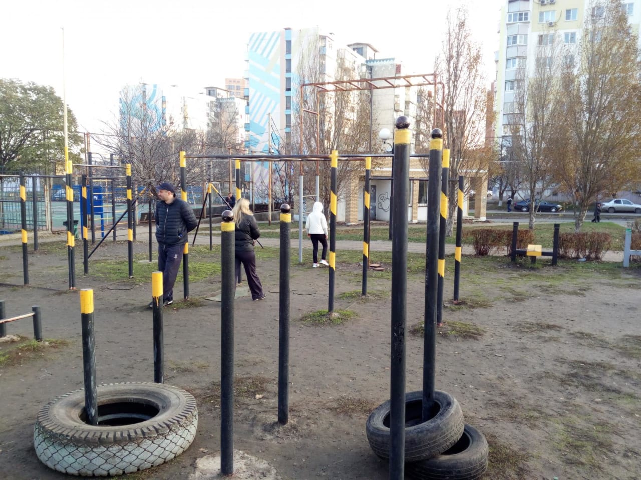 Monkey Bars at Calisthenics Park at 2-я Опрятная улица, Ростов-на-Дону – photo 3 of 5