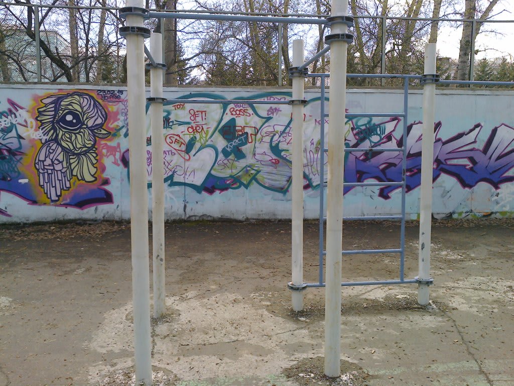 Niedrige Barren bei Calisthenics Park at площадь Юности, Комсомольск-на-Амуре – Foto 3 von 3