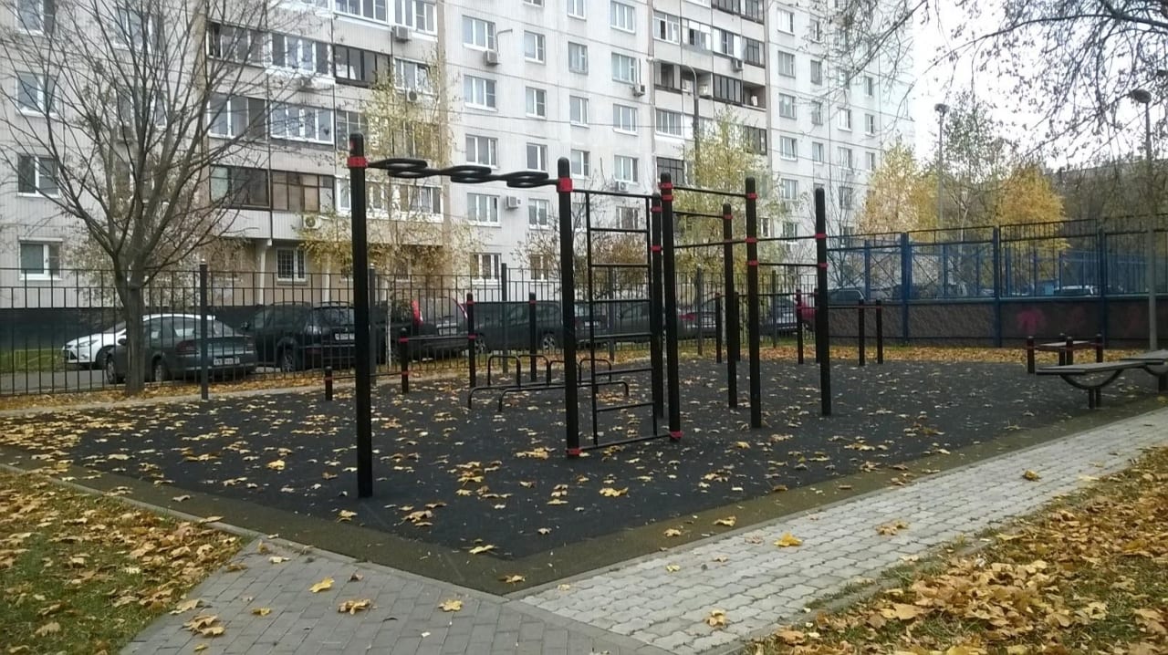 Parallel Gym Bars at Calisthenics Park at улица Фёдора Полетаева, Москва – photo 2 of 3