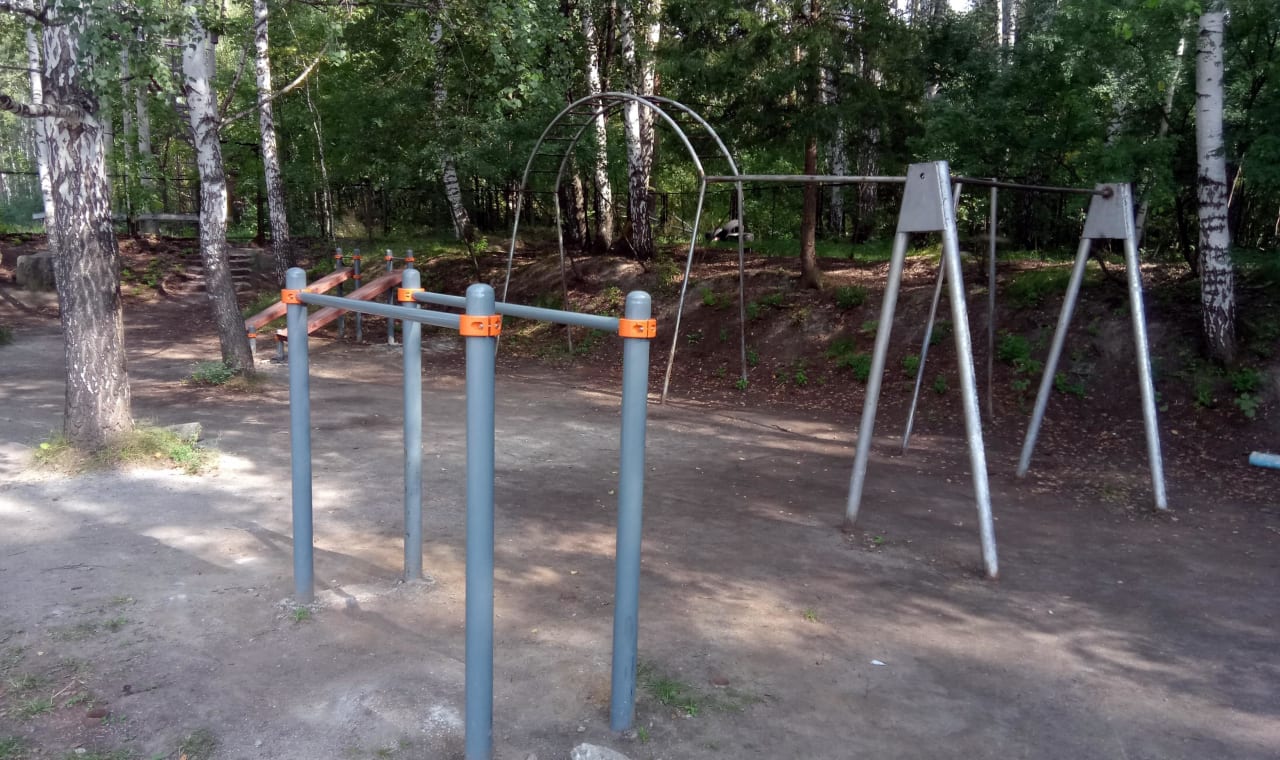 Sprossenwand bei Calisthenics Park at тропинка академика Б. В. Войцеховского, городской округ Новосибирск – Foto 9 von 12