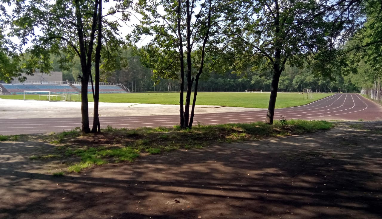 Klimmzugstange bei Calisthenics Park at тропинка академика Б. В. Войцеховского, городской округ Новосибирск – Foto 11 von 12
