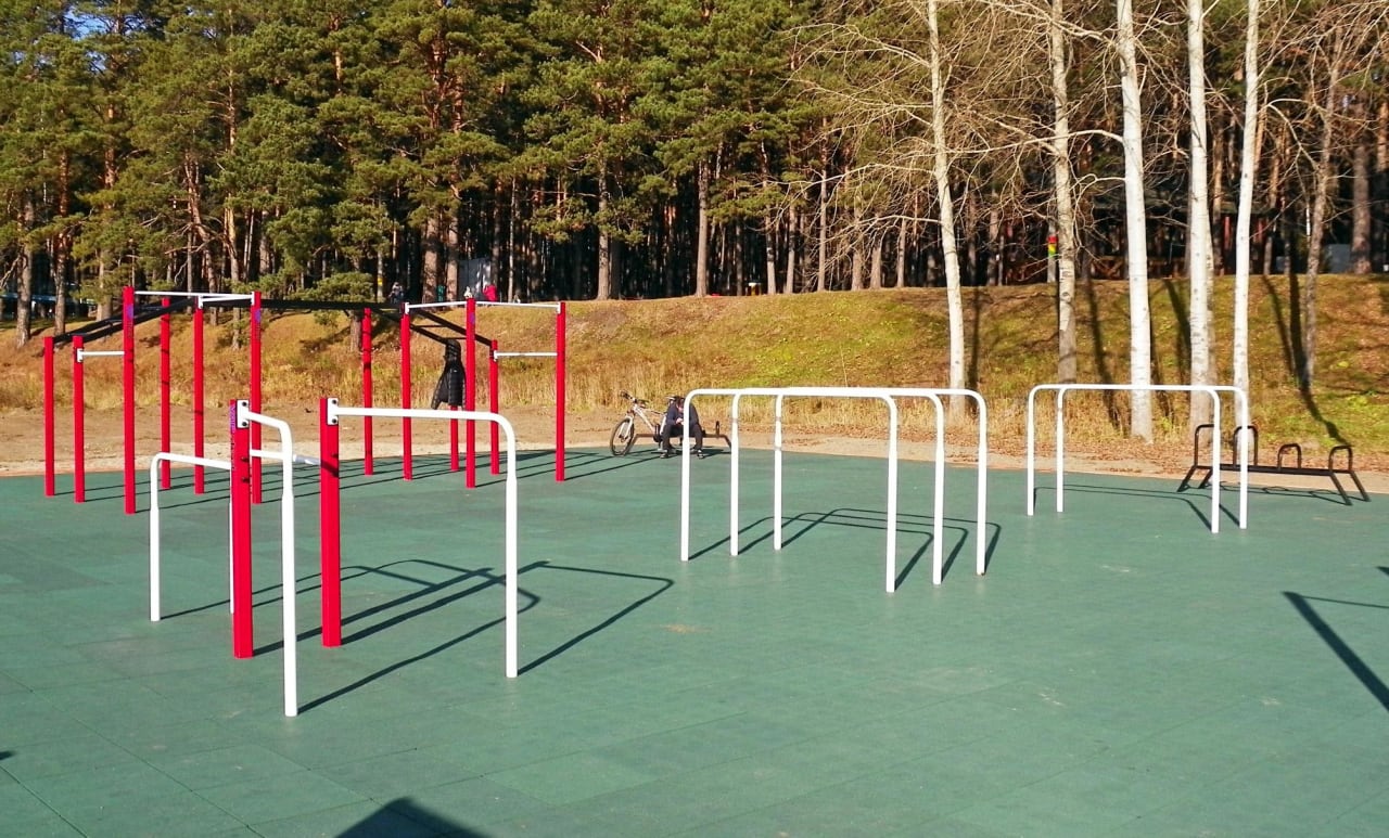 Spalliera presso Calisthenics Park at улица Обские зори, городской округ Новосибирск – foto 4 di 9