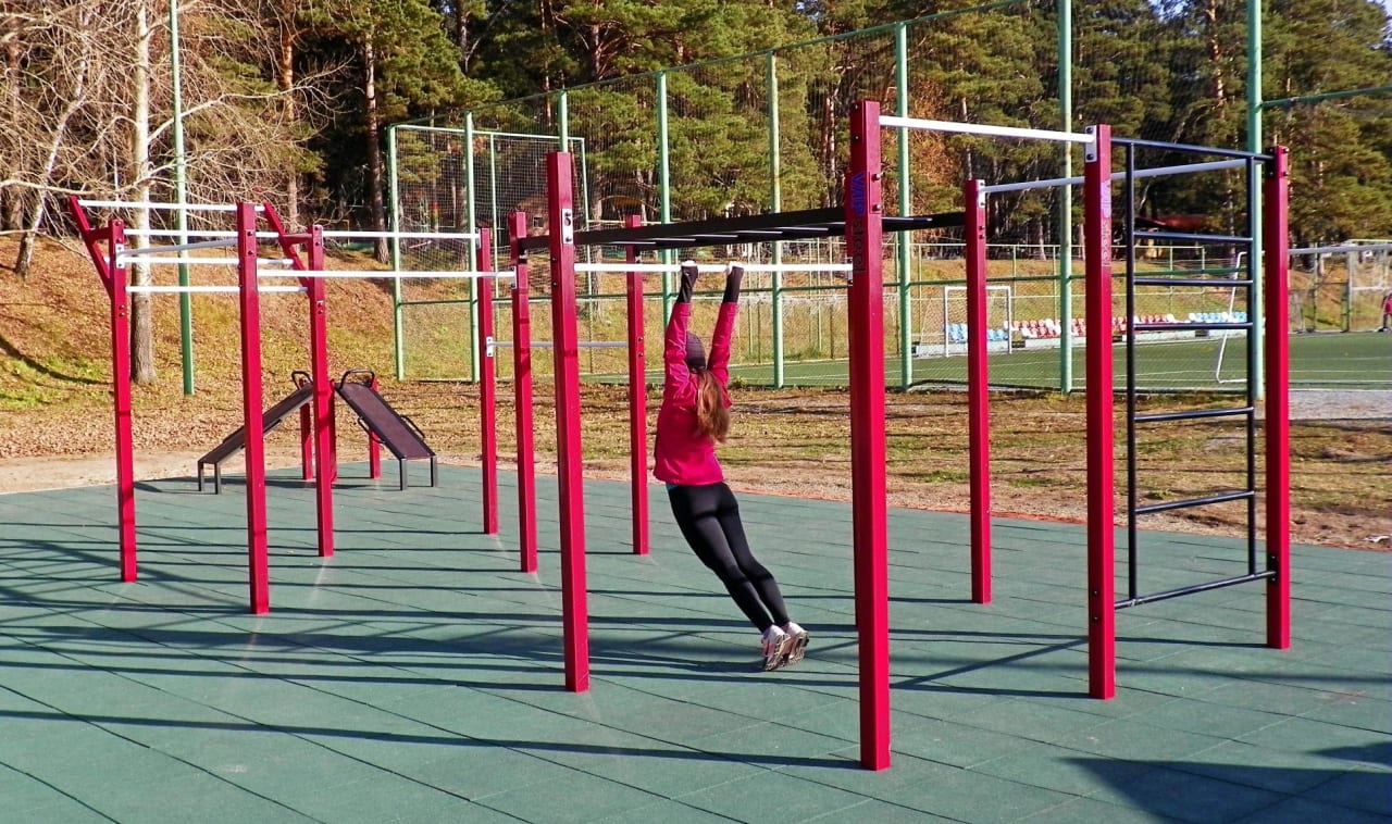 Maniglie per piegamenti presso Calisthenics Park at улица Обские зори, городской округ Новосибирск – foto 6 di 9