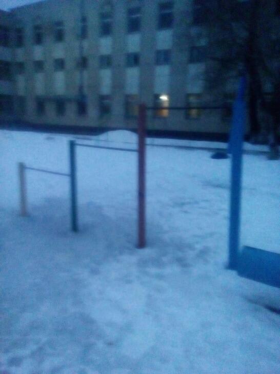 Monkey Bars at Calisthenics Park at Минская улица, Энгельс – photo 3 of 4